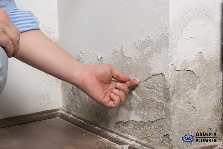 Water Stains or Moisture on Walls, Floors, or Ceilings