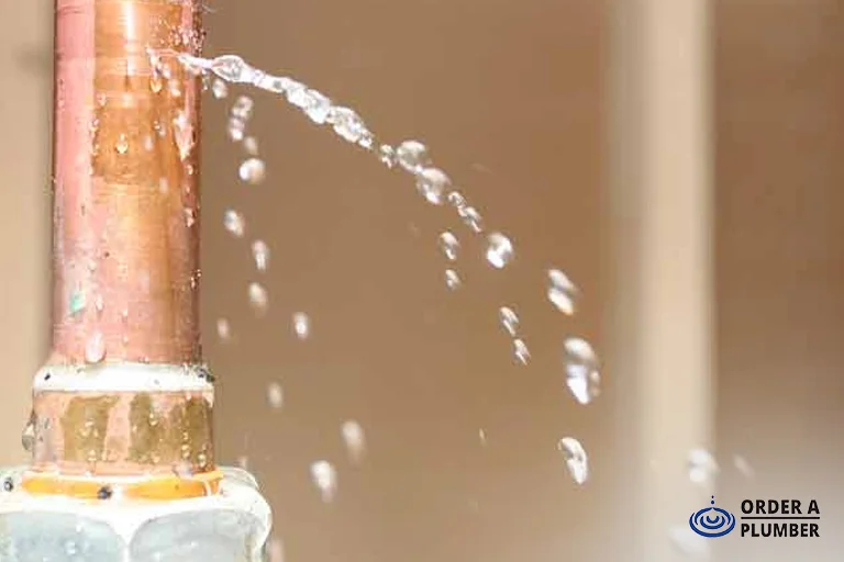 Water Heater Leaking