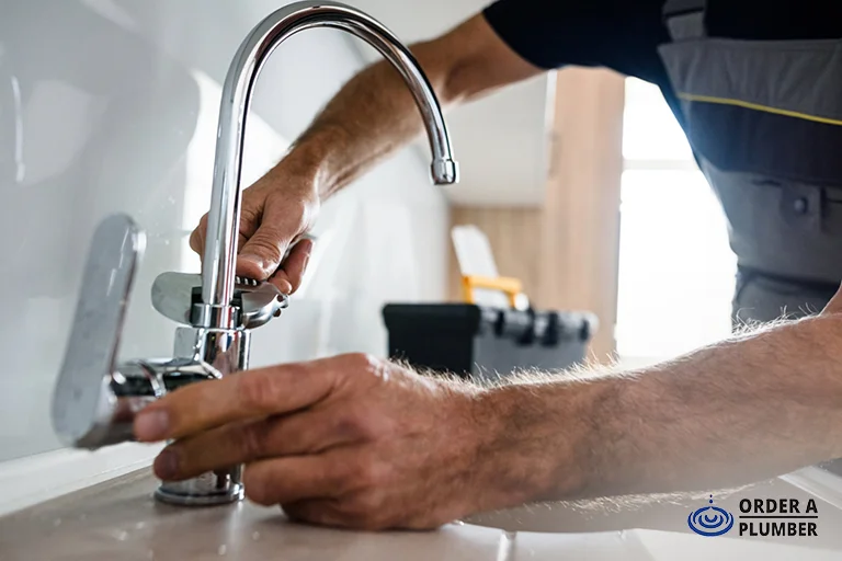 Local Guide: When to Call a Plumber vs. DIY