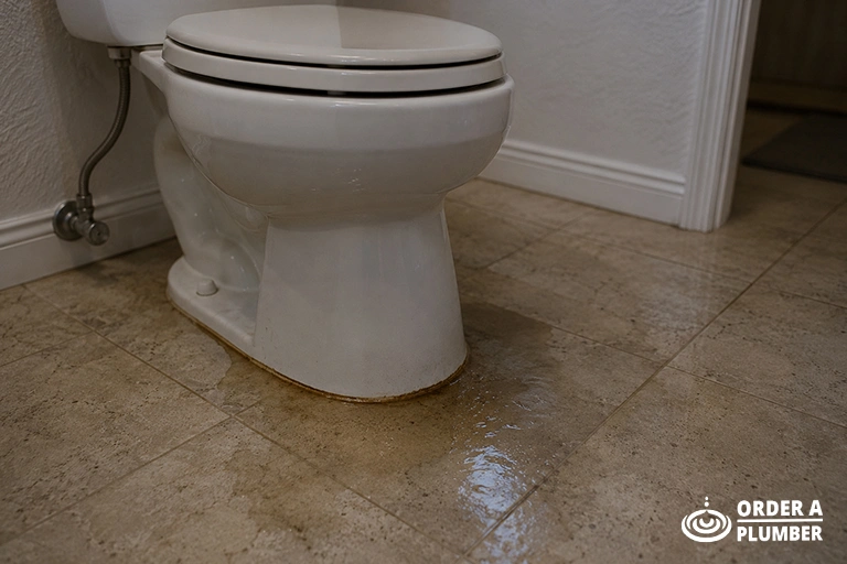 Toilet Seal Problems